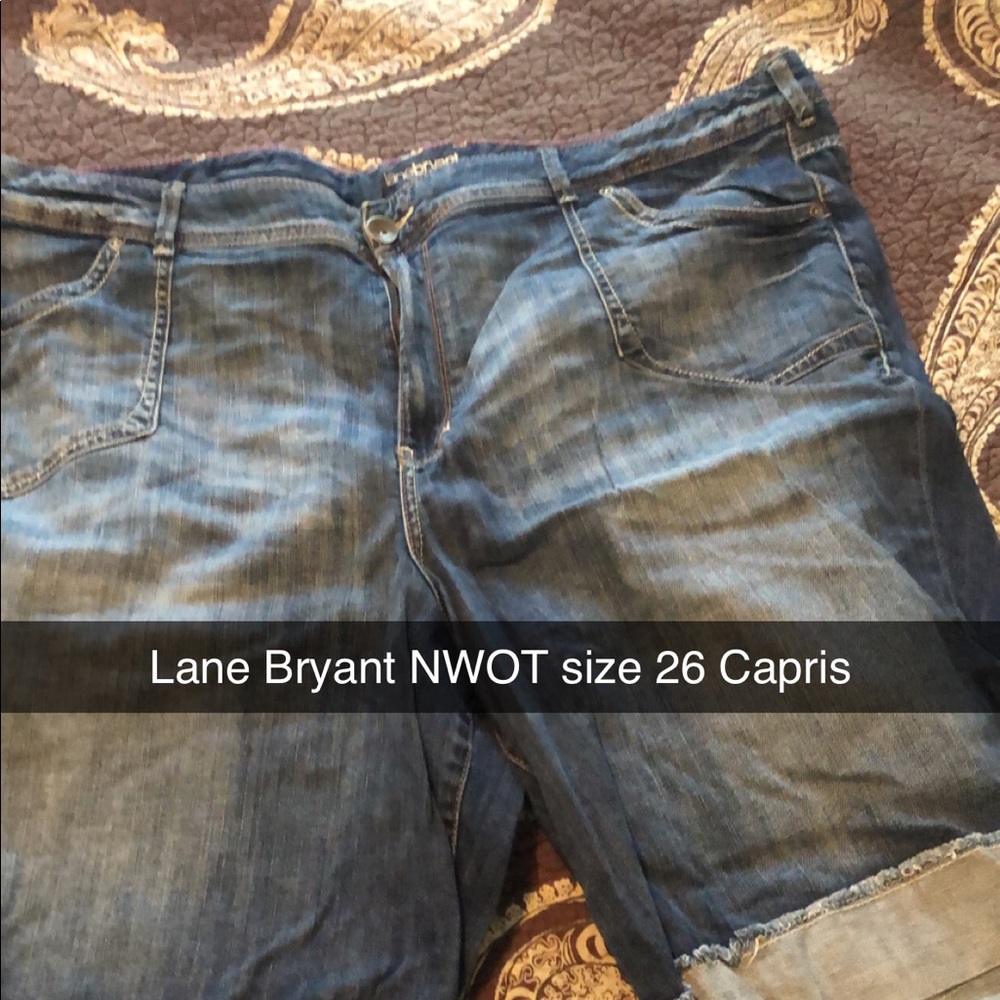 Lane Bryant Shorts